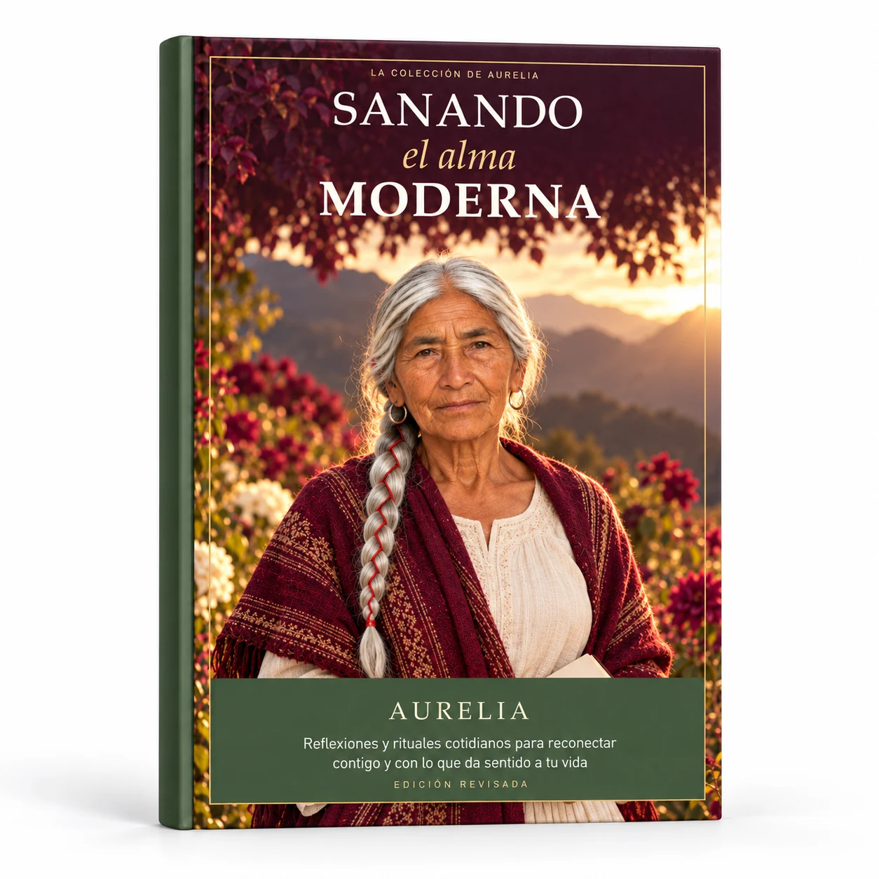Libro Sanando el alma moderna